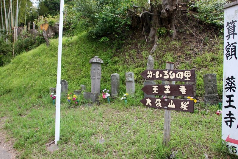 市原市不入斗20200603 / 恵那爺さんの千葉市の活動データ YAMAP / ヤマップ