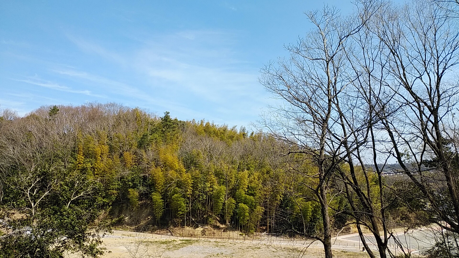 黒シバくん 三石山の吊り橋は やっさんさんの岩湧山 一徳防山 三石山の活動日記 Yamap ヤマップ