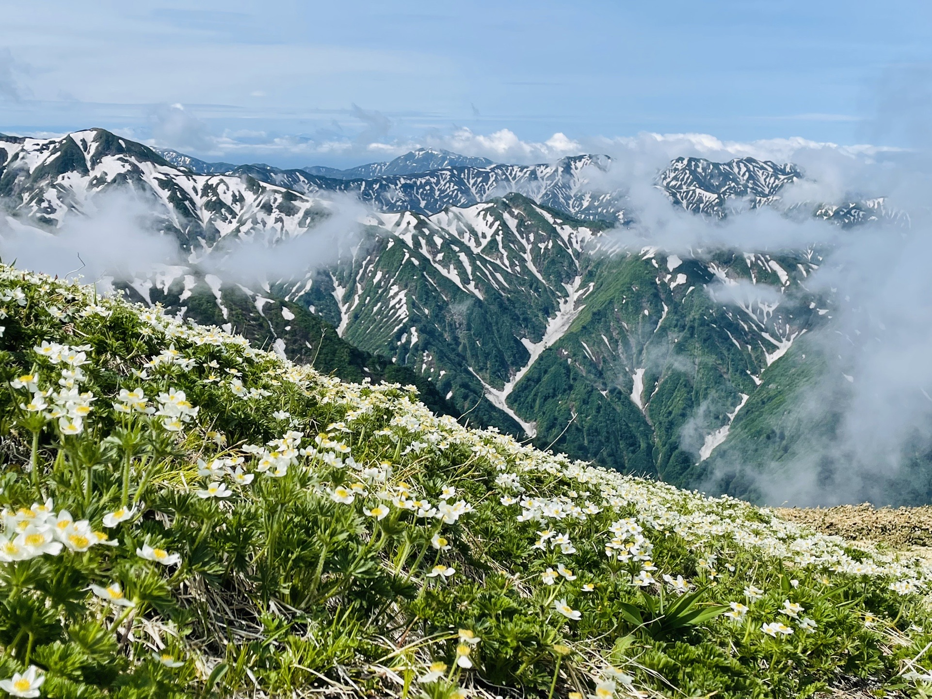 あー素敵✨
ここ、皆さんの足止めポイントでした笑