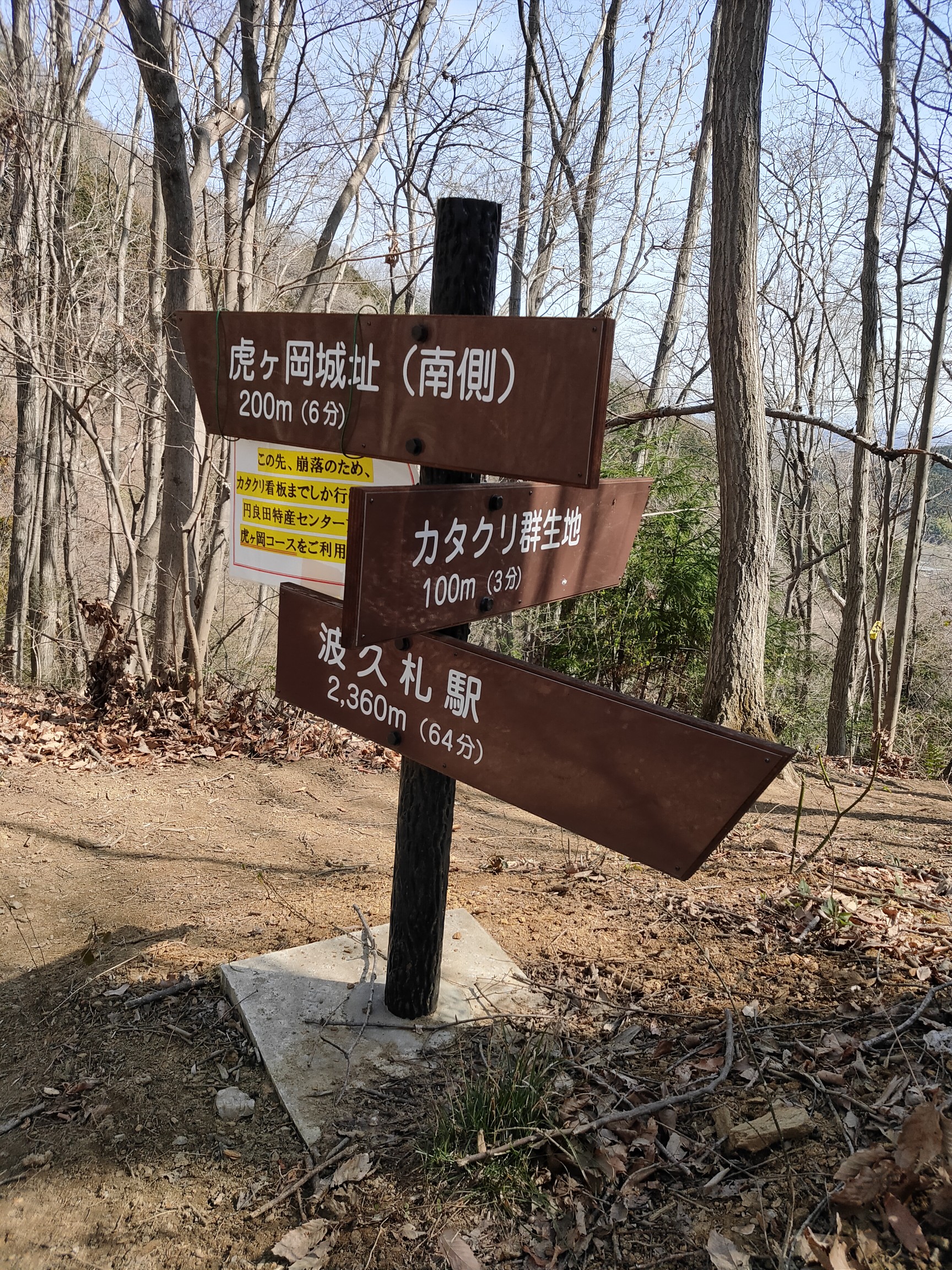 カタクリと陣見山 3 21 土 つきそらさんの宝登山 長瀞アルプス 不動山 陣見山 鐘撞堂山の活動日記 Yamap ヤマップ