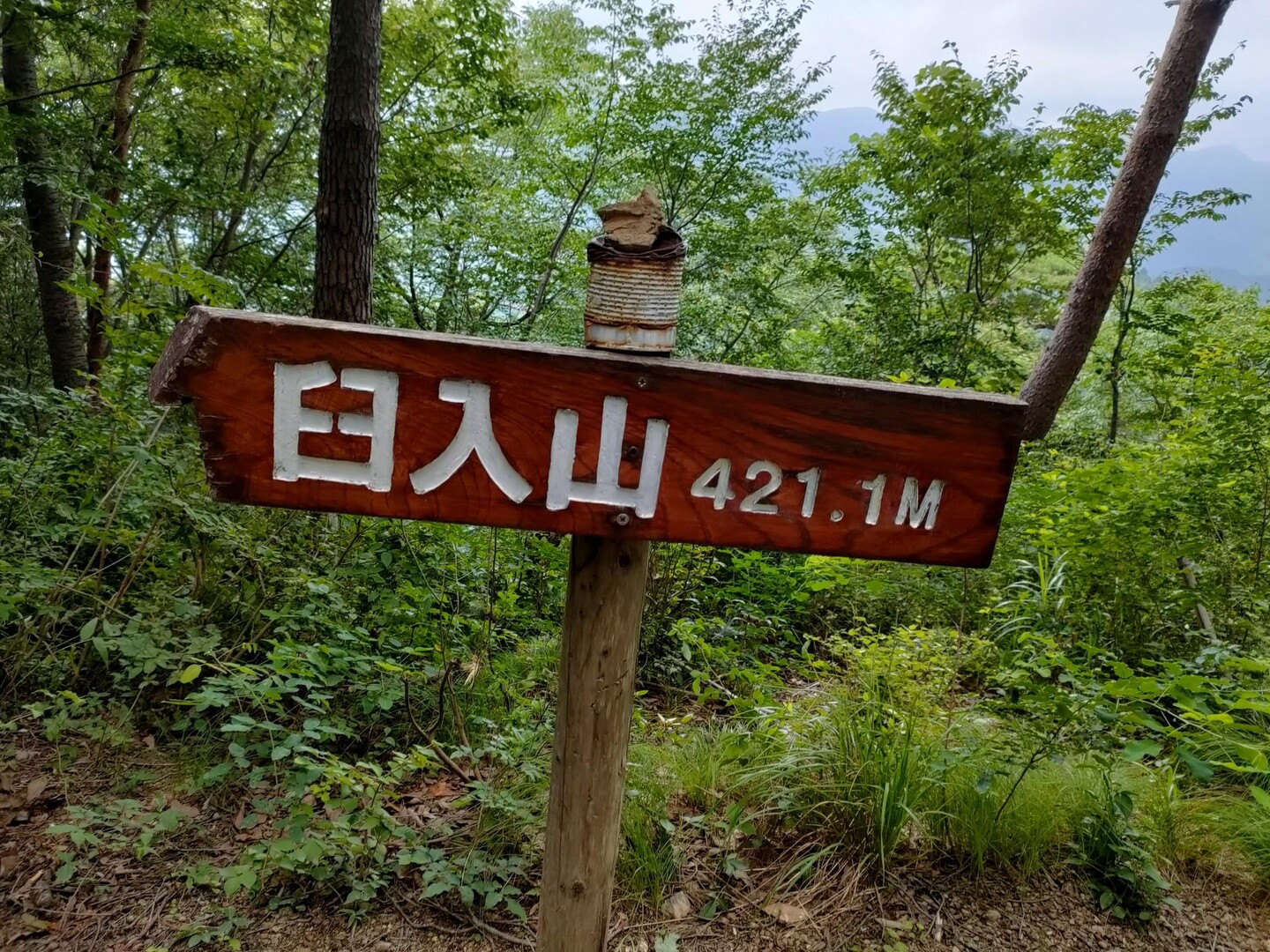 官の倉山～臼入山: 官ノ倉山 日帰り , 官 ノ 倉山 臼 入山 に関連する検索腰越城跡 官ノ倉山 臼入山（細窪山） – QUUTE
