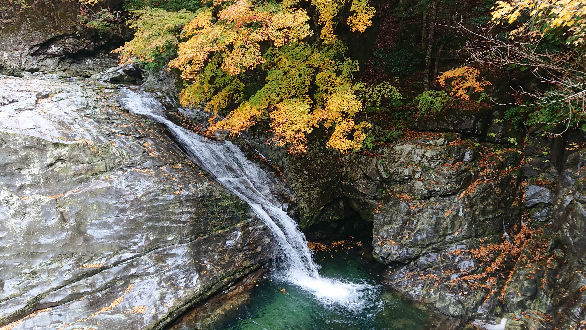紅葉ハイク みたらい渓谷 11 07 Thama3862さんの観音峯山の活動データ Yamap ヤマップ