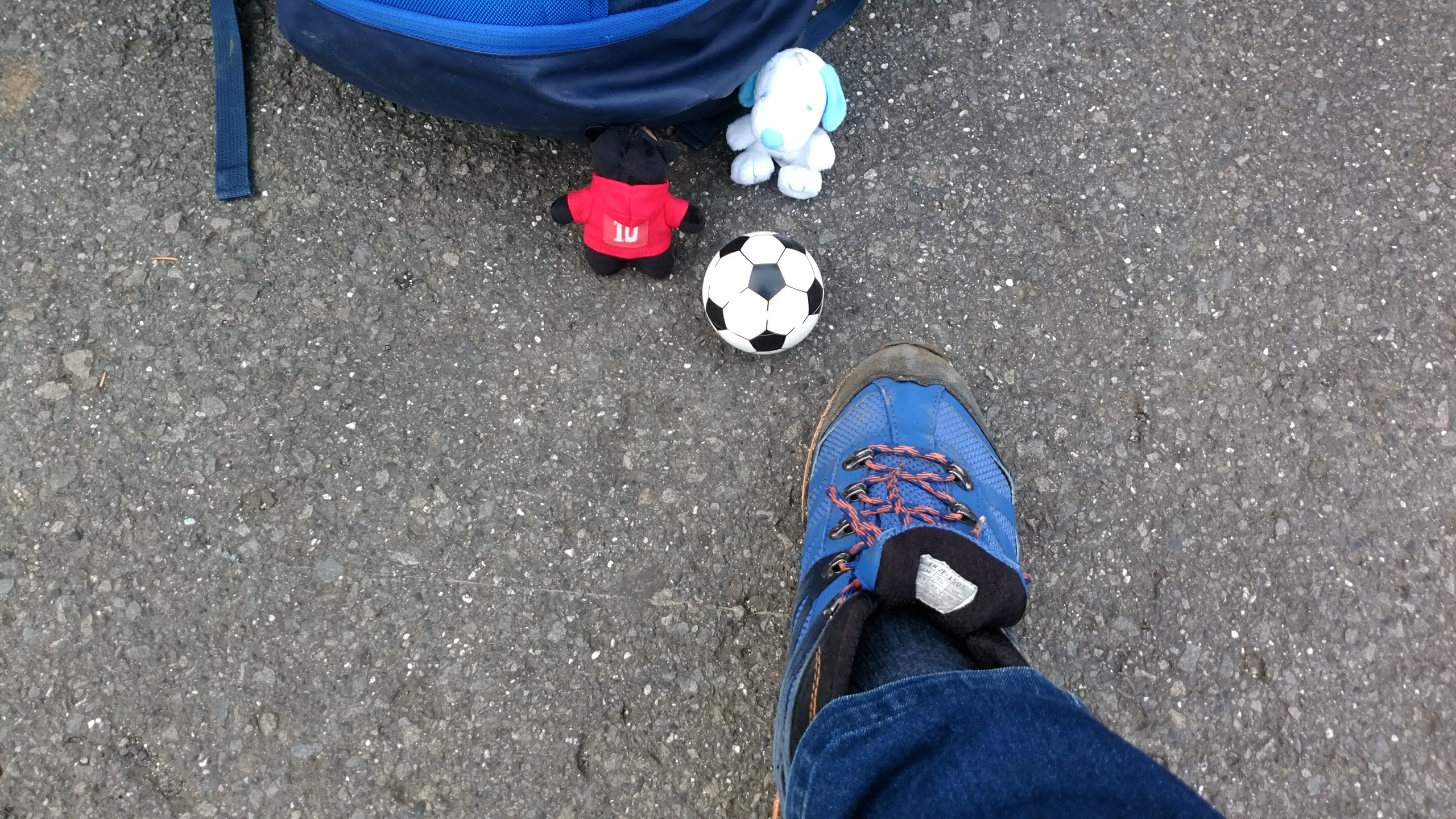 富士山 の見える高川山って いいね 副ｷｬﾌﾟﾃﾝhiroshi さんの高川山の活動日記 Yamap ヤマップ