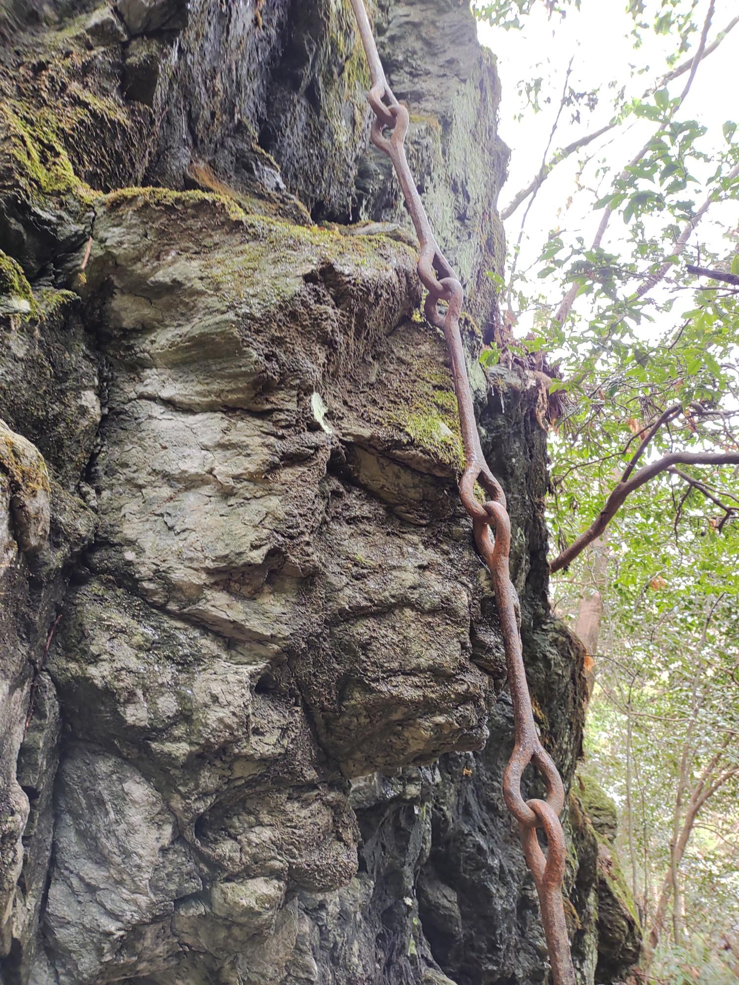 樋山地石鎚山 / にいさんちさんの四国遍路その1の活動データ YAMAP / ヤマップ