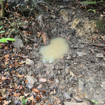 紀泉アルプス・飯盛山・ボンデン山 ぬた馬かな🐗

あちこちボコボコに掘り返してあったので、ここにはイノシシいてます🐗