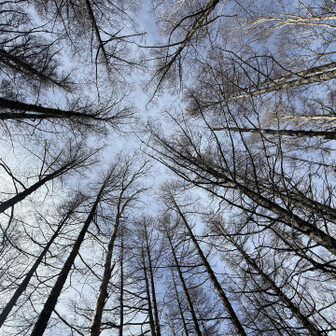 山頂で
見上げてみた😊