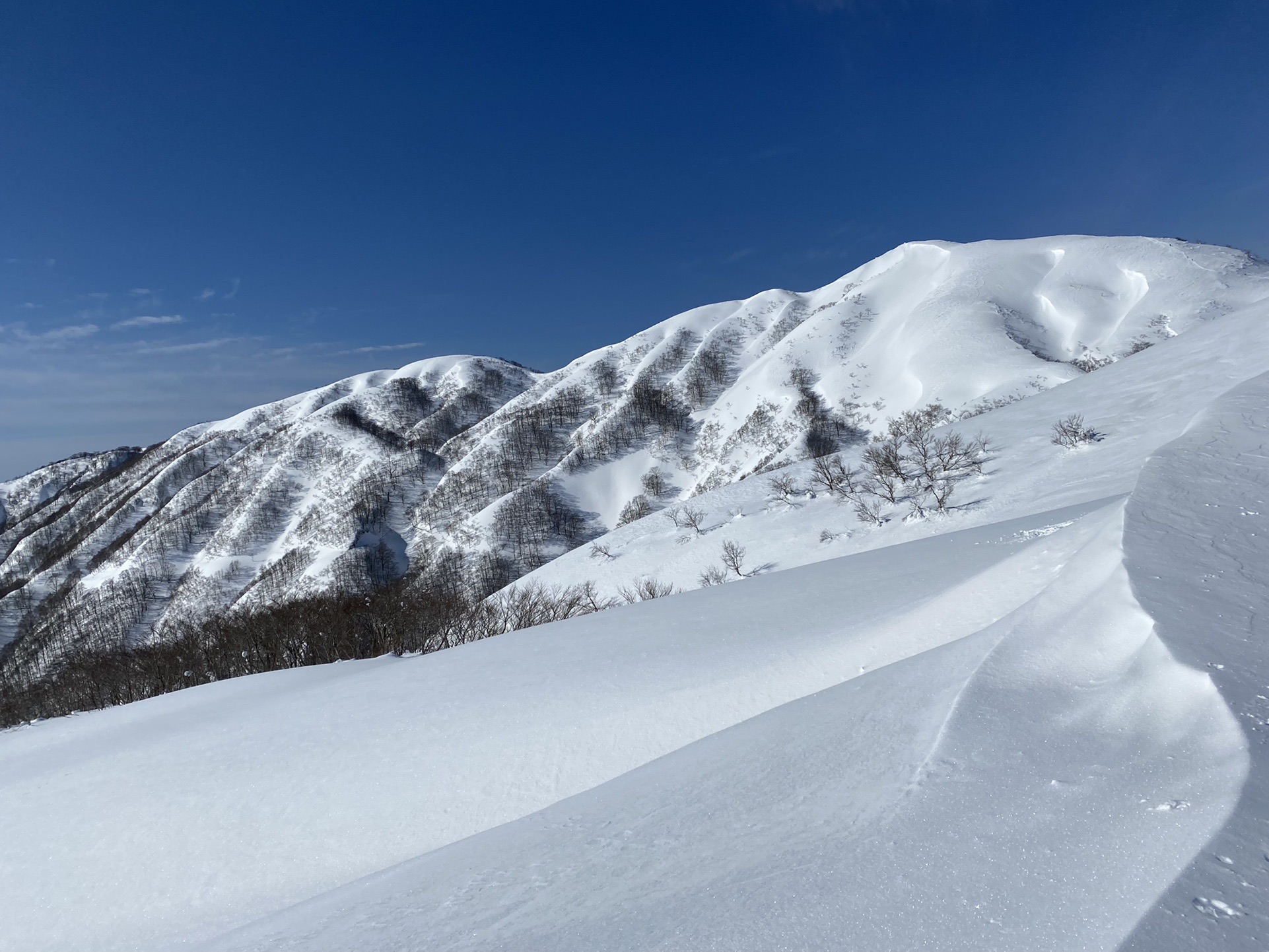 福井の三大雪山コンプリート🎉銀杏峰・部子山 / あきたん☆さん