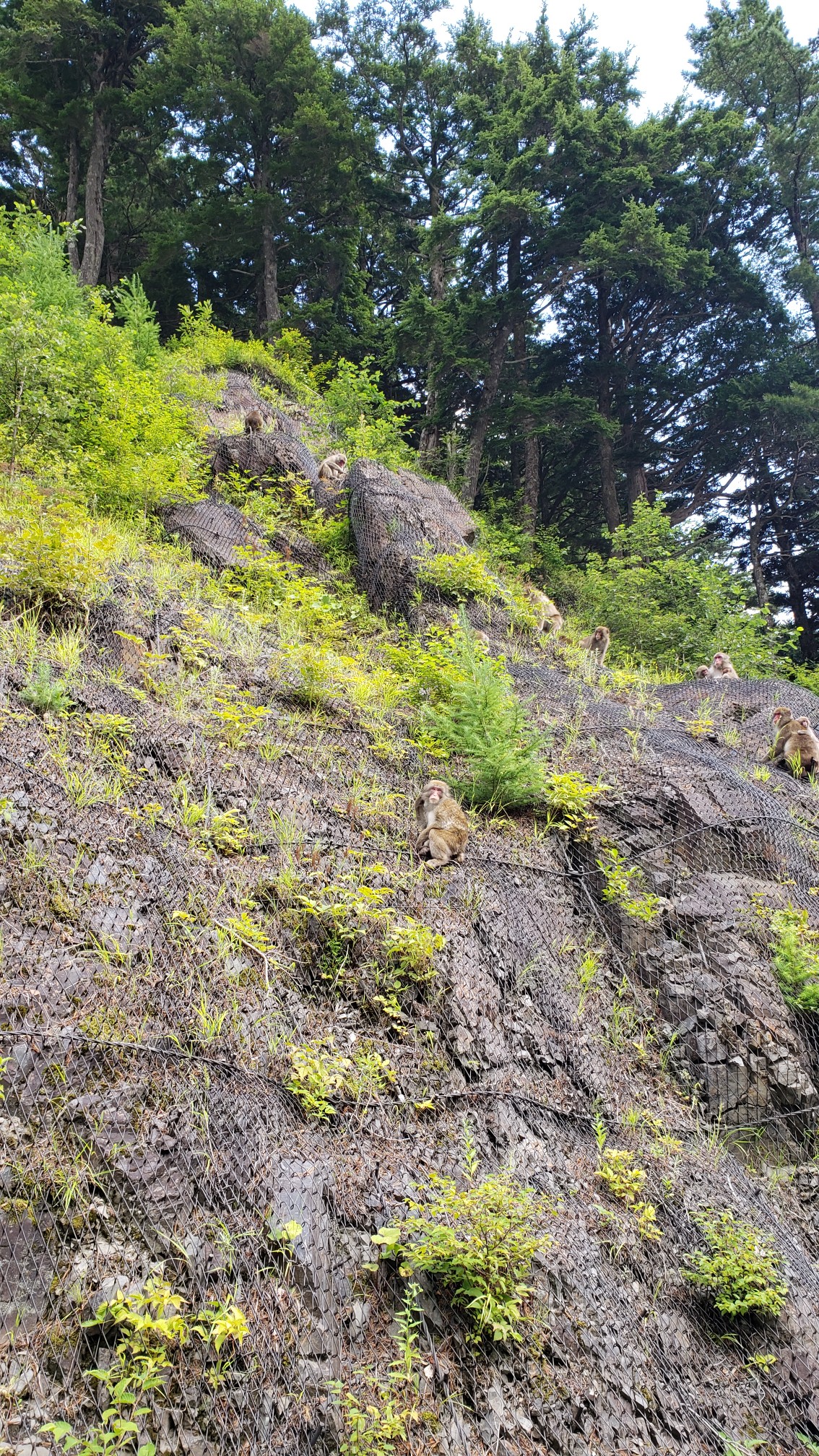憧れの槍サマをアタック 秘境で飛び越えちゃったyo こっこさんの槍ヶ岳 穂高岳 上高地の活動日記 Yamap ヤマップ