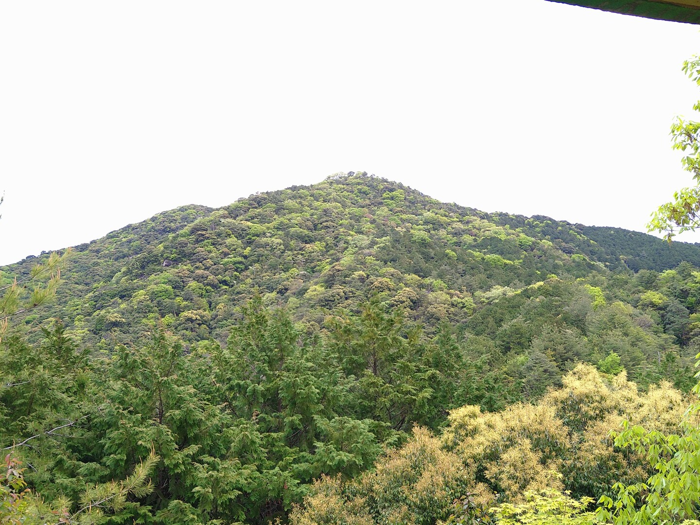 岩石山 岩石城 の登山ルート コースタイム付き無料登山地図 Yamap ヤマップ