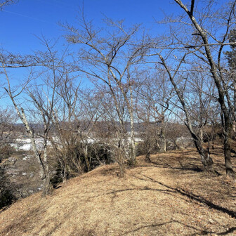 仙洞寺山・南山・津久井堂所山 桜山…今度来るなら桜の季節にしたい