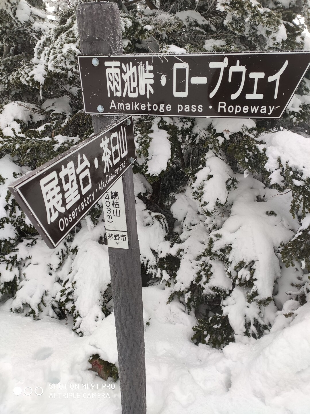 初 冬山へ 横岳 縞枯山 茶臼山 2020 01 03 楓推しのgu人さんの蓼科山 横岳 縞枯山の活動日記 Yamap ヤマップ