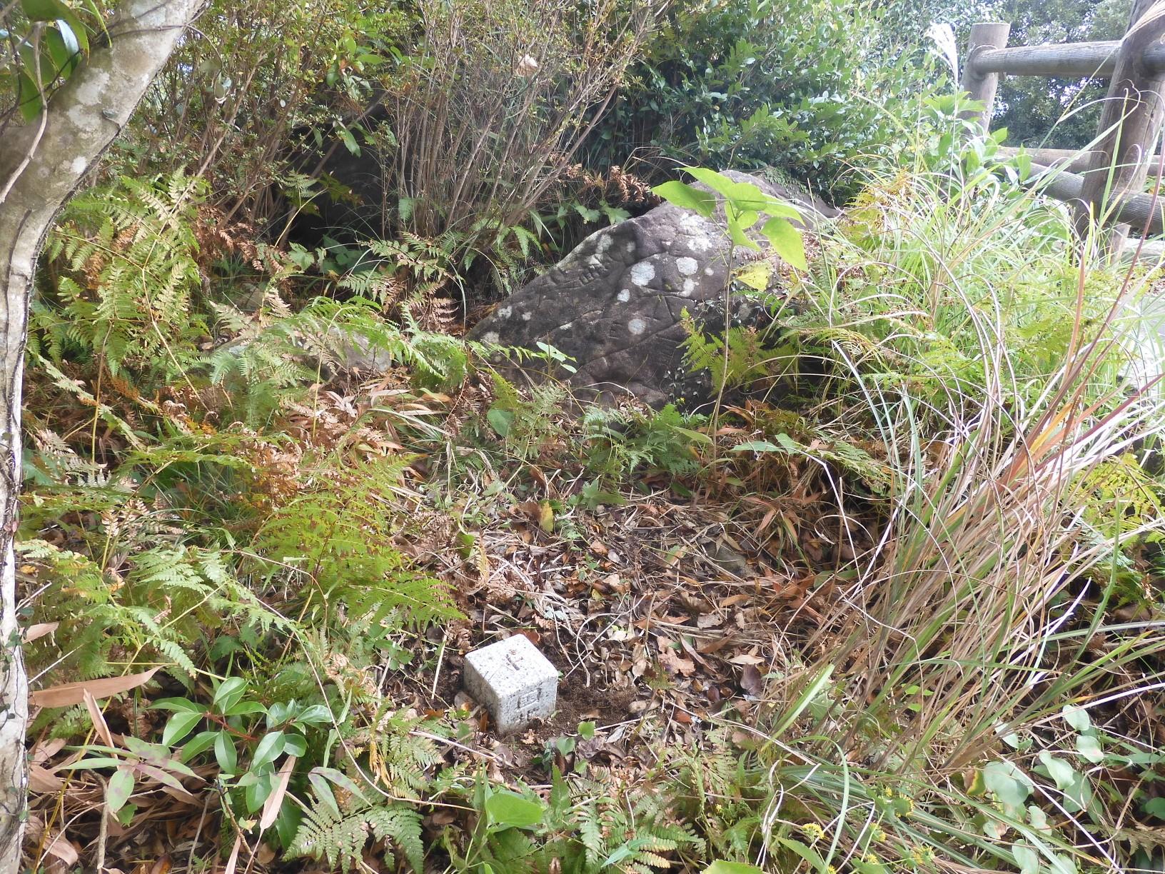 城岳（しろたけ 188.7m）山頂　
山頂を示すものは見当たりませんが、ここら辺りがピークのようです。　
ピークの岩には何やら文字が彫られています。