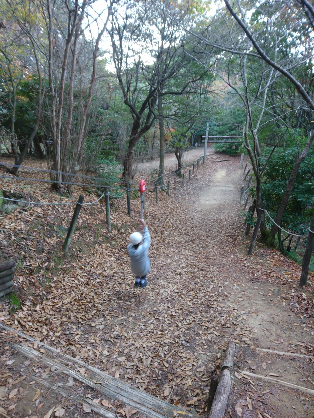 愛媛森林公園 谷上山 犬同行 まりさんごさんの谷上山の活動データ Yamap ヤマップ