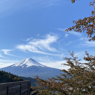 はる