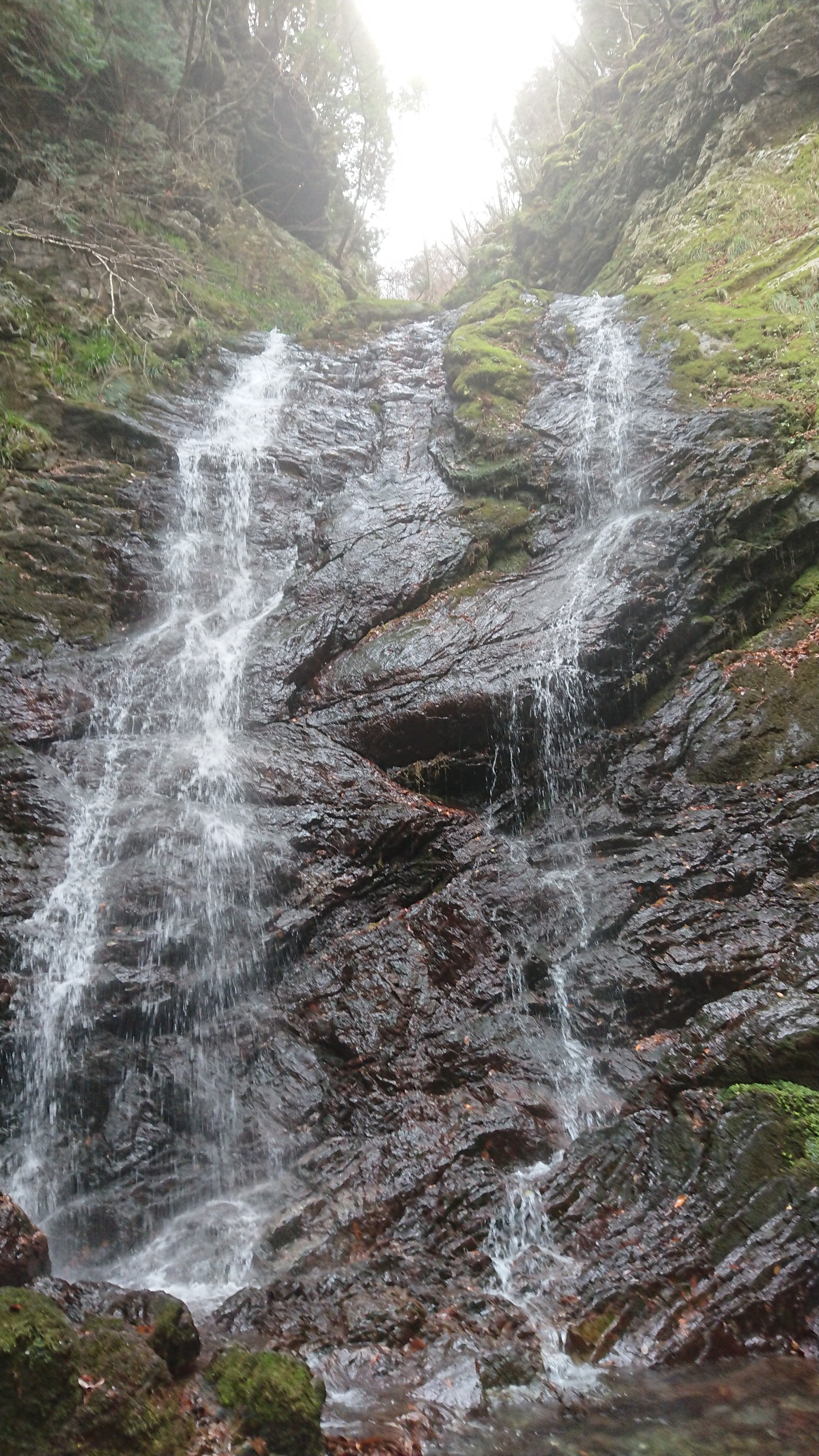 魚止めの滝 神山町 Ma Kunさんの剣山 徳島県 の活動データ Yamap ヤマップ