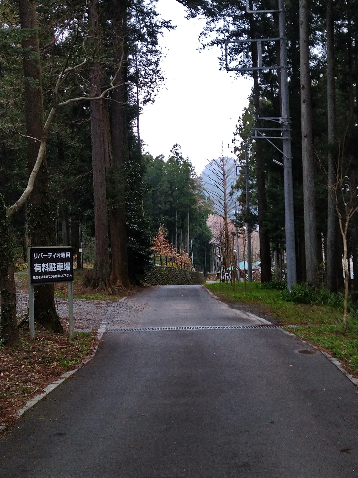 ハセツネ30kコース下見 湯の川さんのハセツネcup 日本山岳耐久レース 71 5kmコース の活動データ Yamap ヤマップ