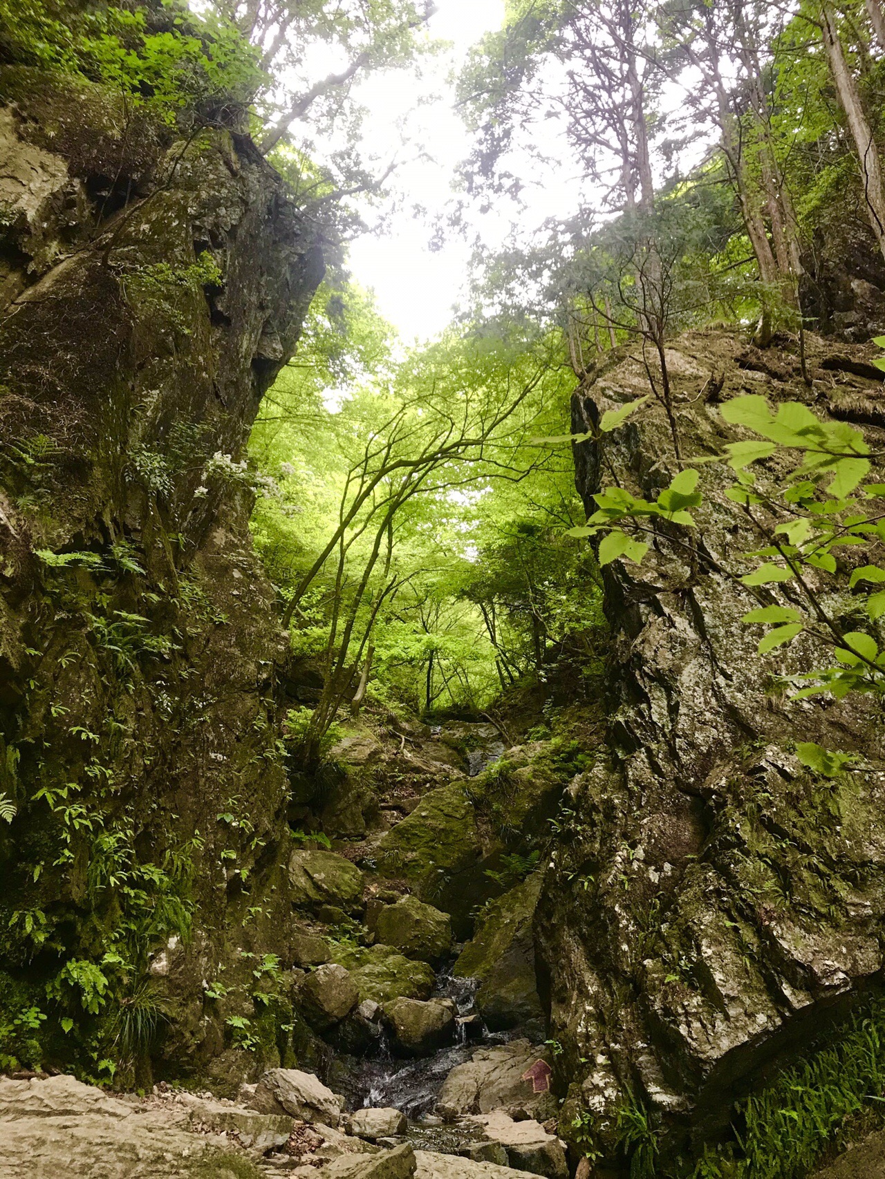 棒ノ折山 棒ノ嶺 埼玉 東京 の登山 山頂 天気 人気のルート 最新の記録 Yamap ヤマップ