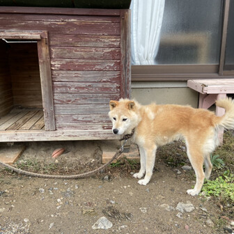 大野山 Yoshikiさんの大野山 兵庫県 の活動データ Yamap ヤマップ