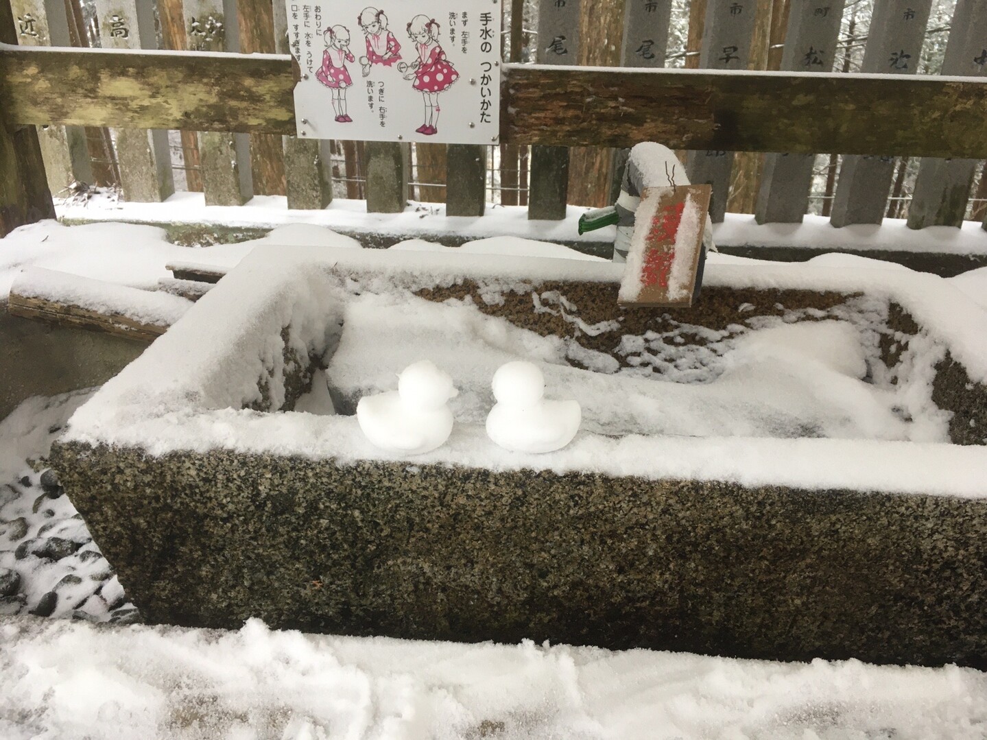 金剛山 葛木岳 ペコさんの金剛山 二上山 大和葛城山の活動日記 Yamap ヤマップ