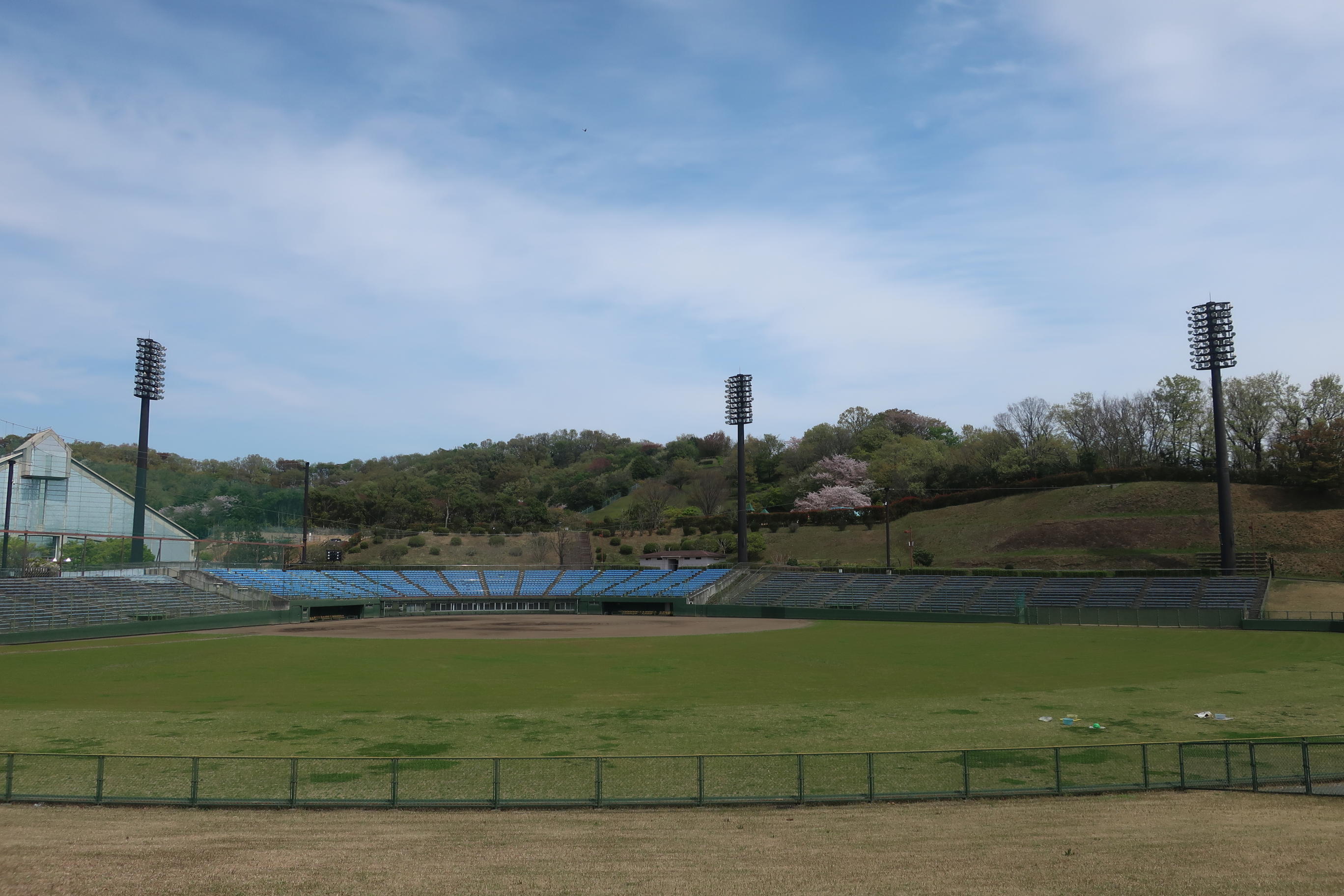 伊勢原市総合運動公園 桜 ちょっと寄り道 金子和広さんの大山 神奈川県 の活動日記 Yamap ヤマップ