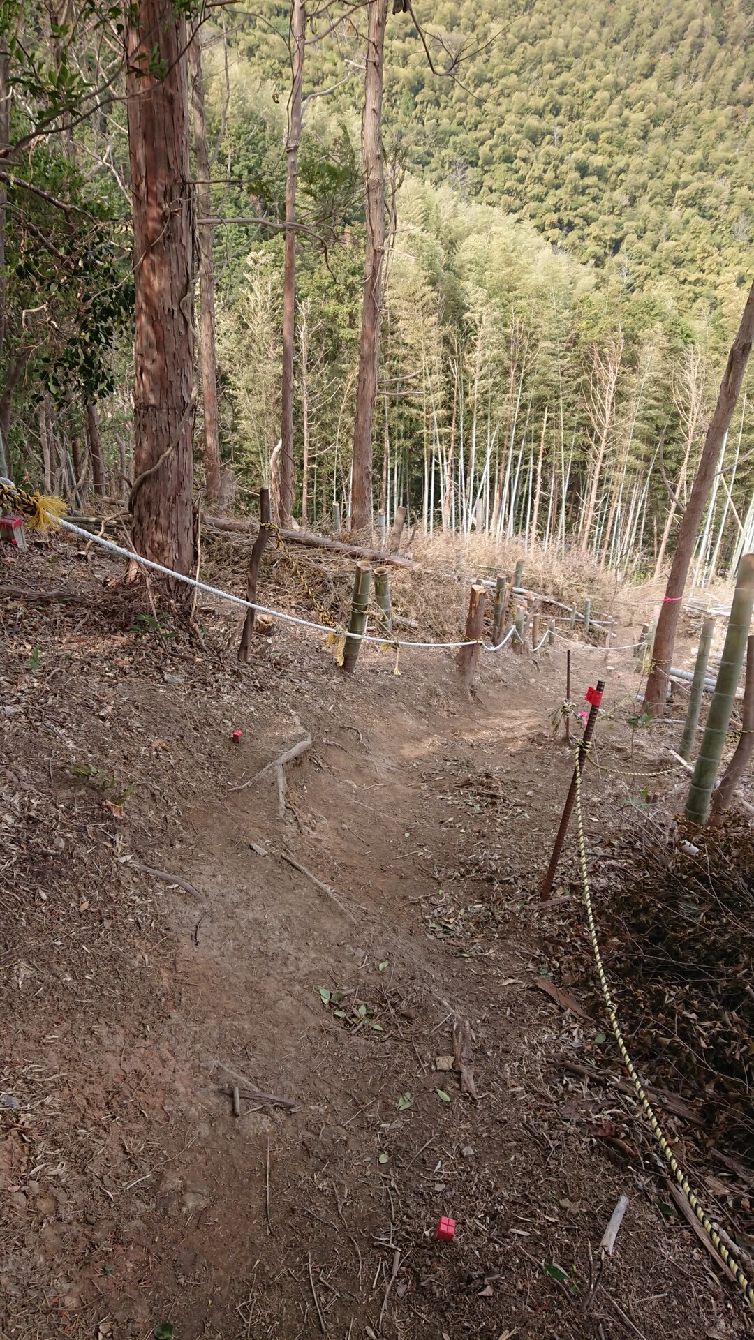 ポンコツくまモン大好きさんの投稿したフィールドメモ Yamap ヤマップ