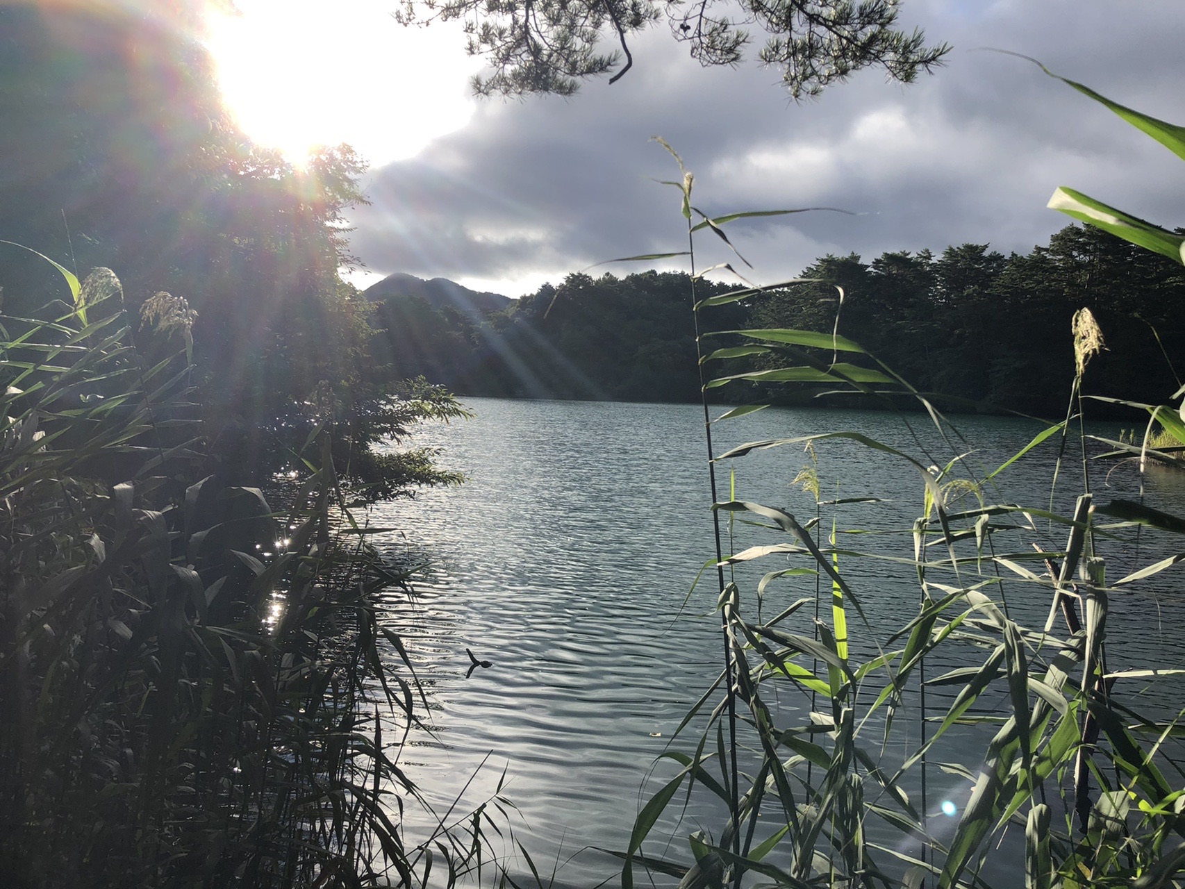 大迫力の山容と美しき湖沼群 磐梯山 裏磐梯周回 五色沼ハイキング ソロ 日帰り だったんさんの磐梯山 雄国山 赤埴山の活動データ Yamap ヤマップ