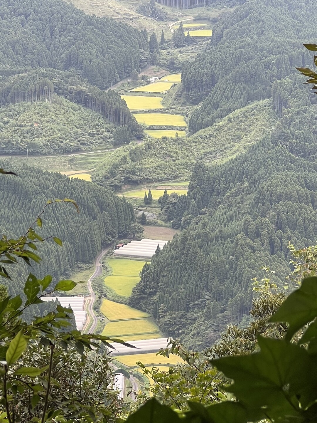 女岳・浮嶽 / さがつあらーさんの二丈岳・十坊山の活動データ | YAMAP / ヤマップ