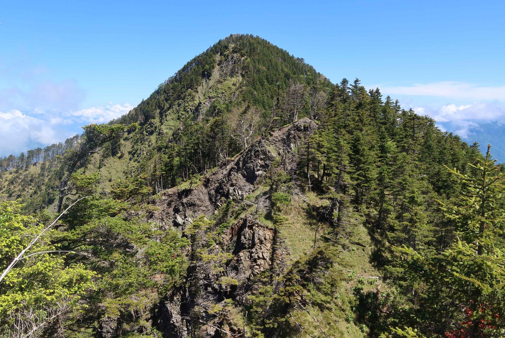 池口岳 / htsjjさんの池口岳・加加森山・光岳の活動データ YAMAP / ヤマップ