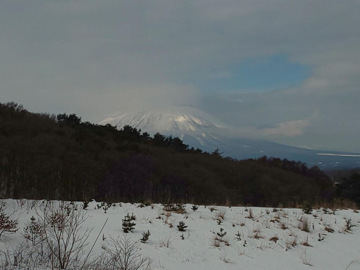 大森山お散歩 / SHIZUKAさんの大森山・黒石山の活動データ YAMAP / ヤマップ