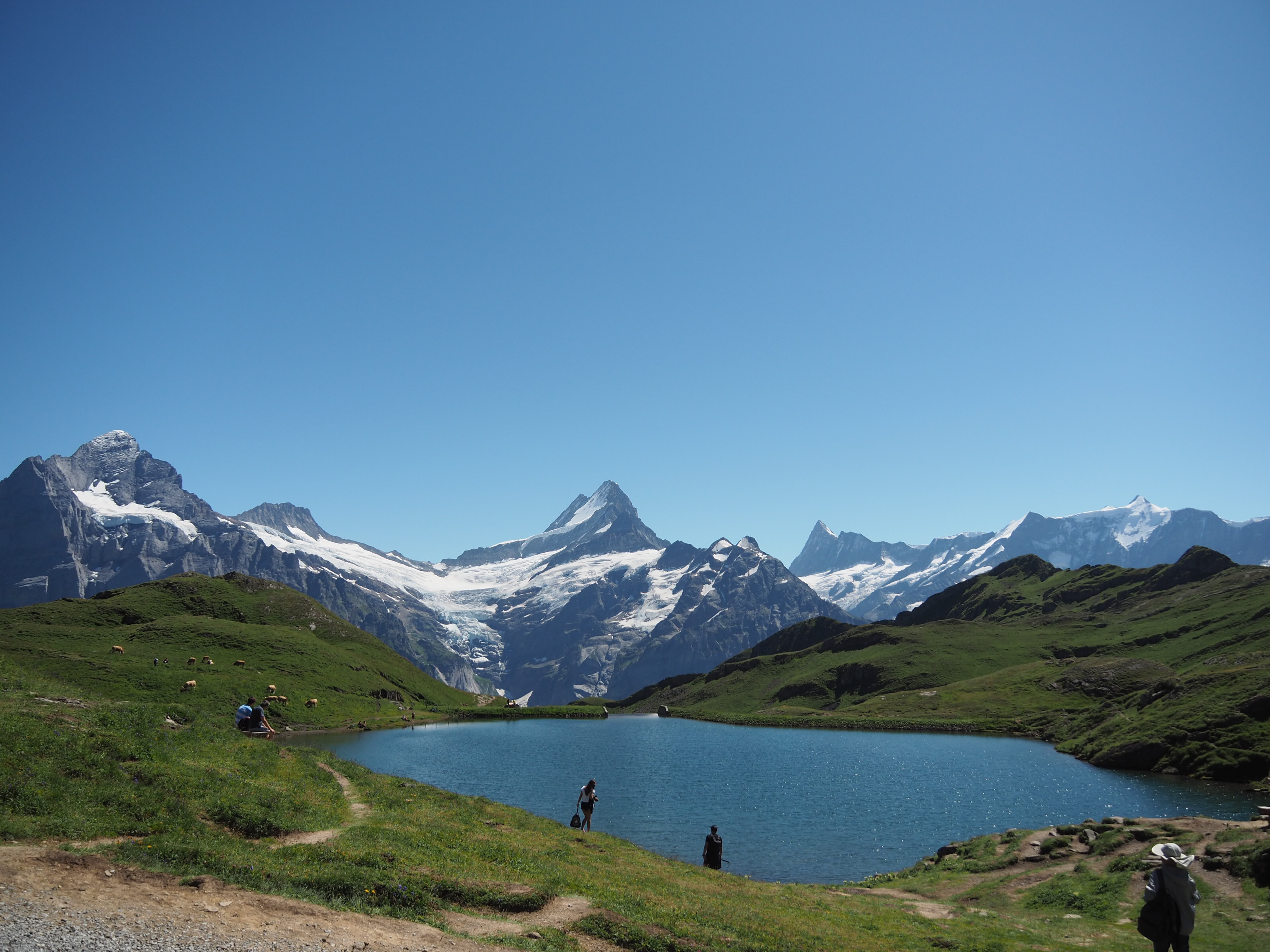 スイスに山旅vol 6 今日から一人旅 Kimikoさんのユングフラウの活動データ Yamap ヤマップ