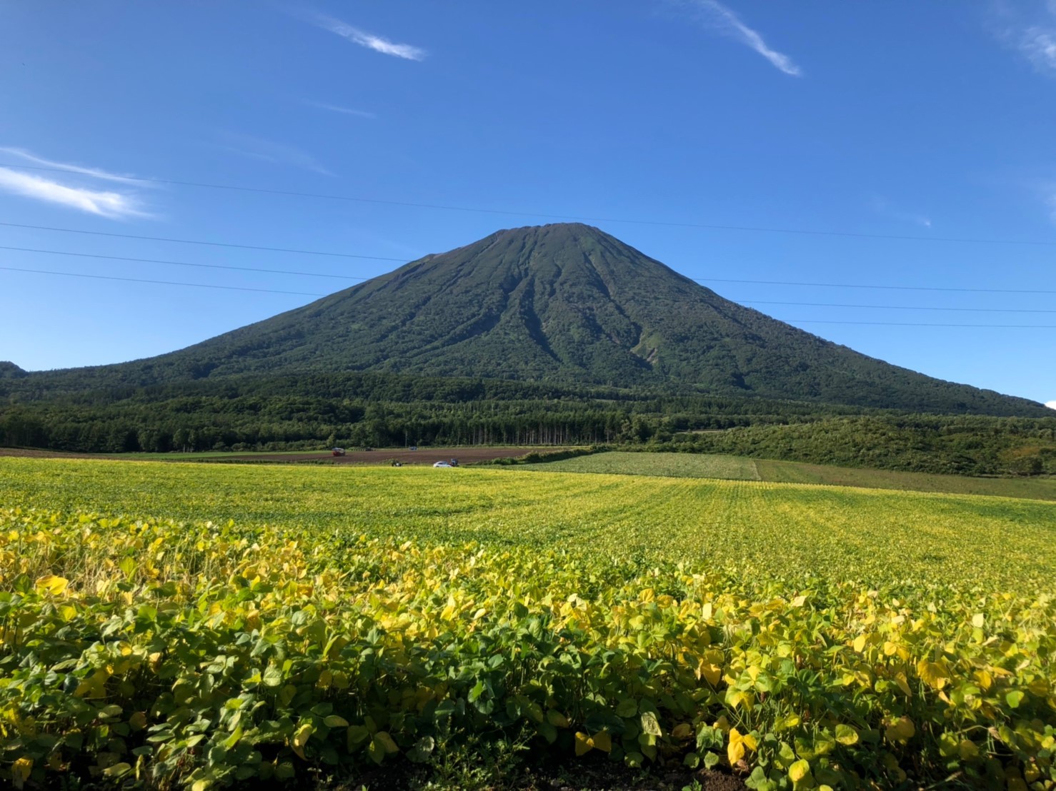 羊蹄山 蝦夷富士 19 09 04 めだか学校 校長先生さんの羊蹄山 蝦夷富士 の活動日記 Yamap ヤマップ