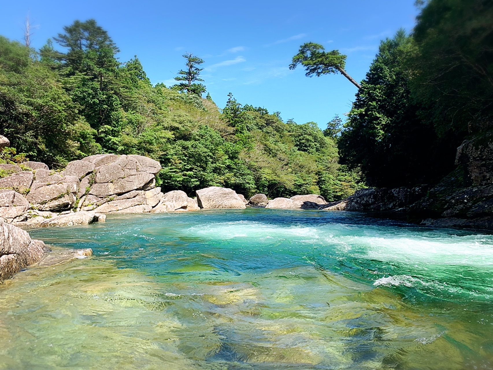 屋久島 1泊2日縄文杉 白谷雲水峡 Akadashiさんの屋久島 宮之浦岳の活動日記 Yamap ヤマップ