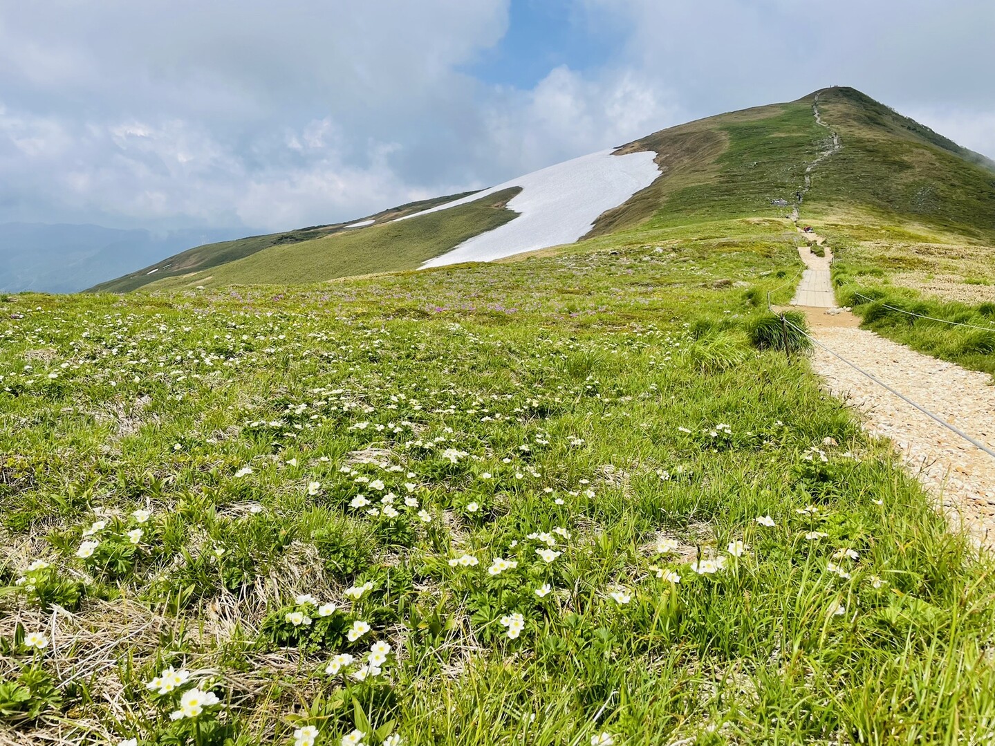 松手山・平標山・前仙ノ倉山・仙ノ倉山 / 仙ノ倉山・平標山・大源太山の写真39枚目 | YAMAP / ヤマップ