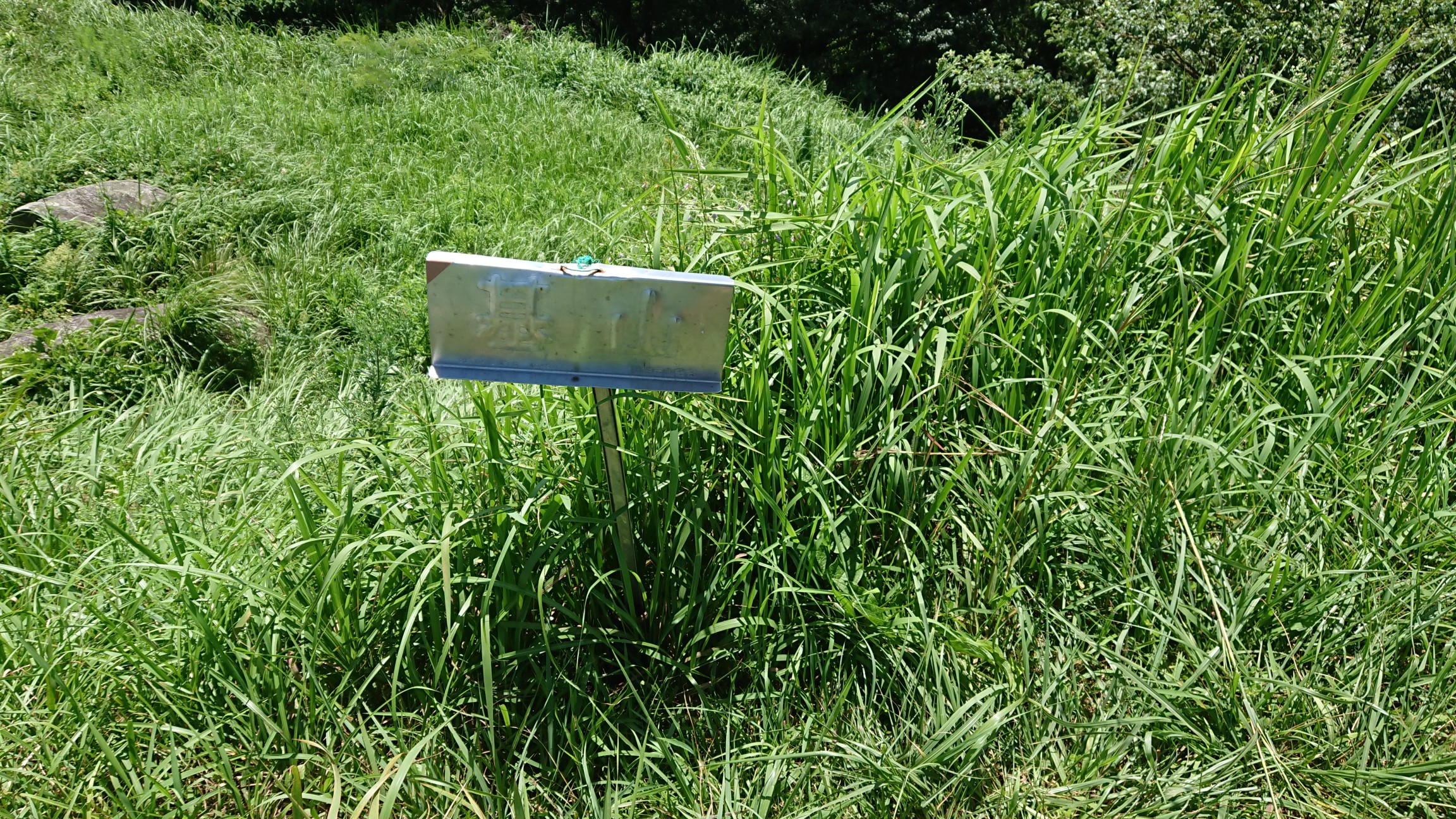 ご先祖様への感謝 も兼ねて基山へ 0815 ポンコツくまモン大好きさんの天拝山 基山の活動データ Yamap ヤマップ