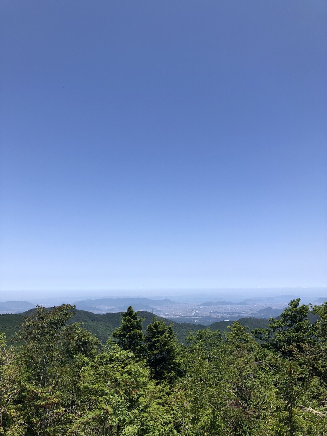竜王山（讃岐竜王）・竜王山（阿波竜王） / Leeさんの竜王山（讃岐山脈）・大川山の活動データ YAMAP / ヤマップ