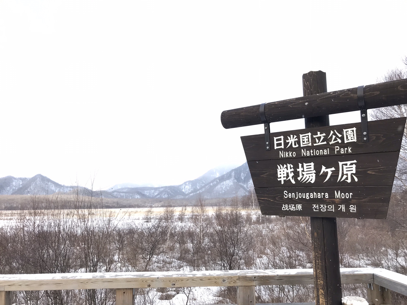 三本松 庵滝 02 01 ムンベルさんの日光白根山 五色山 錫ヶ岳の活動データ Yamap ヤマップ