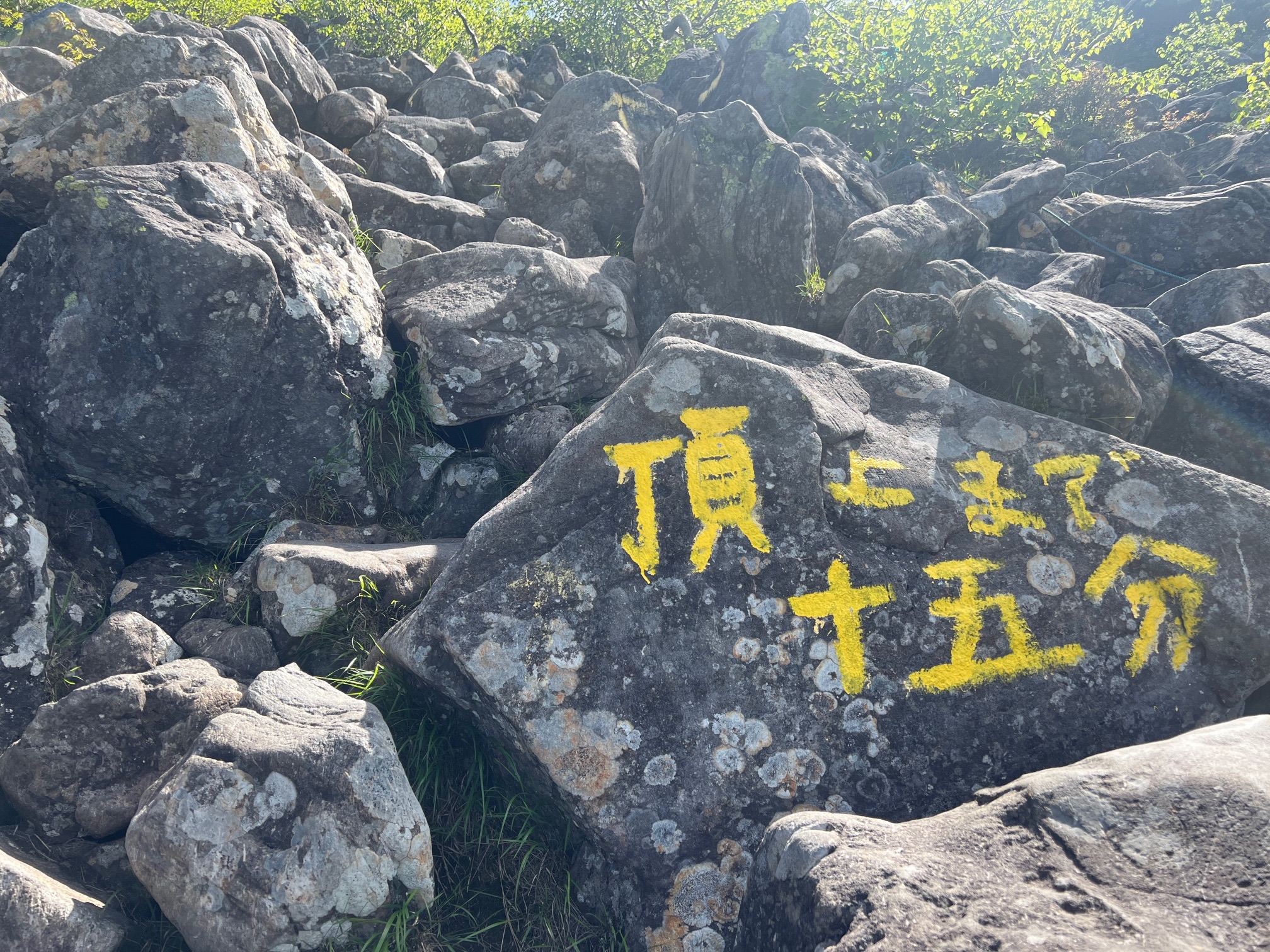 ありがとう😊って感じ