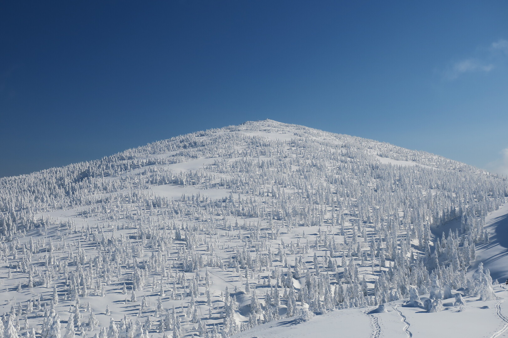 森吉山 樹氷は発育中 / はっしーさんの森吉山の活動データ YAMAP / ヤマップ