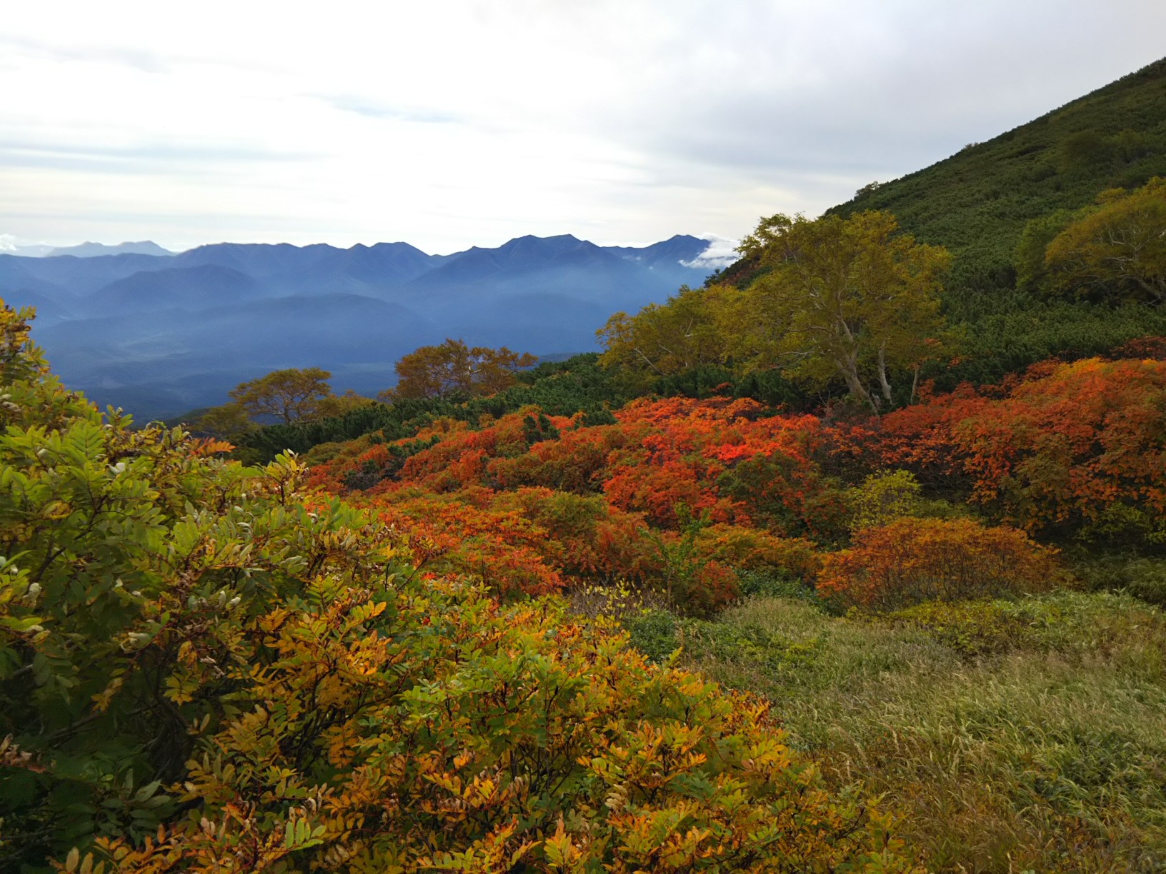 銀泉台から赤岳 緑岳 白雲岳 Dennjyoさんの大雪山系 旭岳 トムラウシの活動データ Yamap ヤマップ