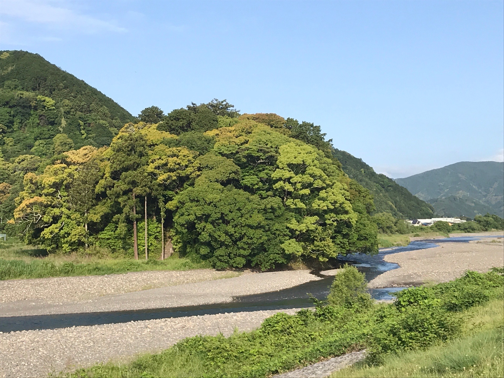 藁科川を清沢まで パタヤンさんの賤機山の活動日記 Yamap ヤマップ