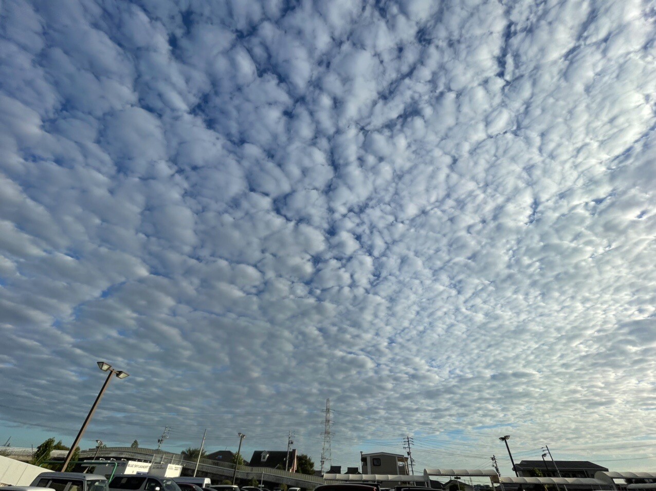 秋の空 今日は1日すごい ひつじ雲 うろ 荒木さんのモーメント Yamap ヤマップ