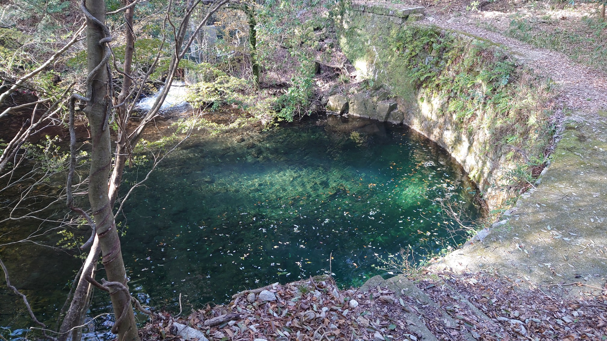 廃墟の女王を観に行こう Satさんの六甲山 長峰山 摩耶山の活動日記 Yamap ヤマップ