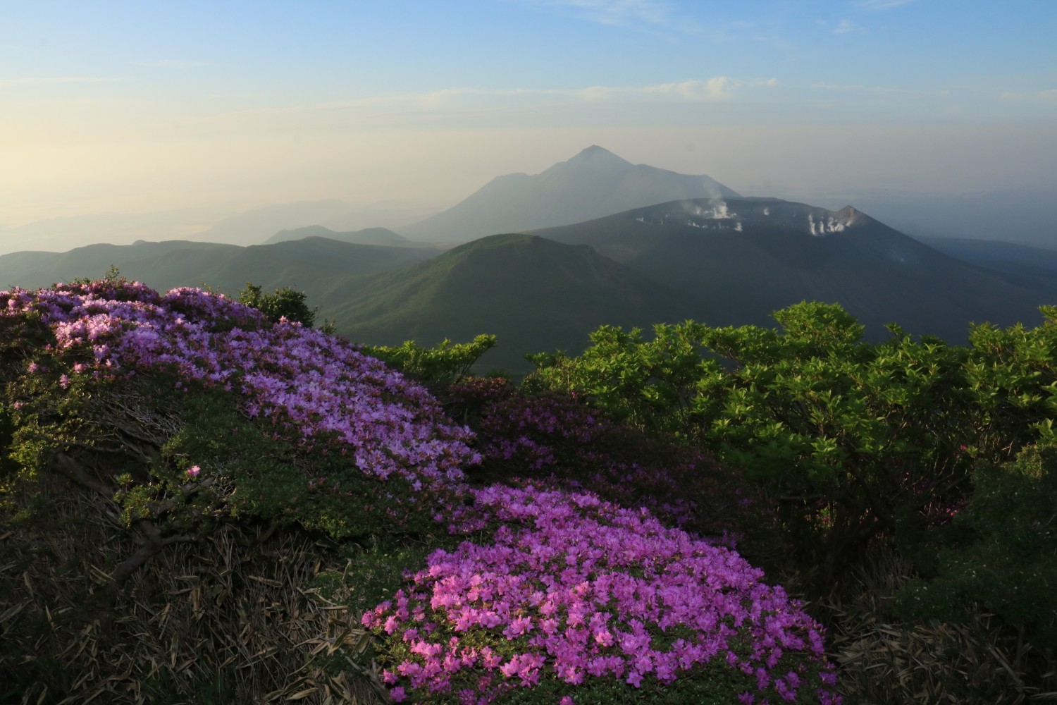 見頃を迎えるミヤマキリシマ 深山霧島 の 韓国岳 山頂 令和二年 ２０２０年６月５日 Rikaさんの霧島山 韓国岳 高千穂峰 夷守岳 烏帽子岳の活動データ Yamap ヤマップ