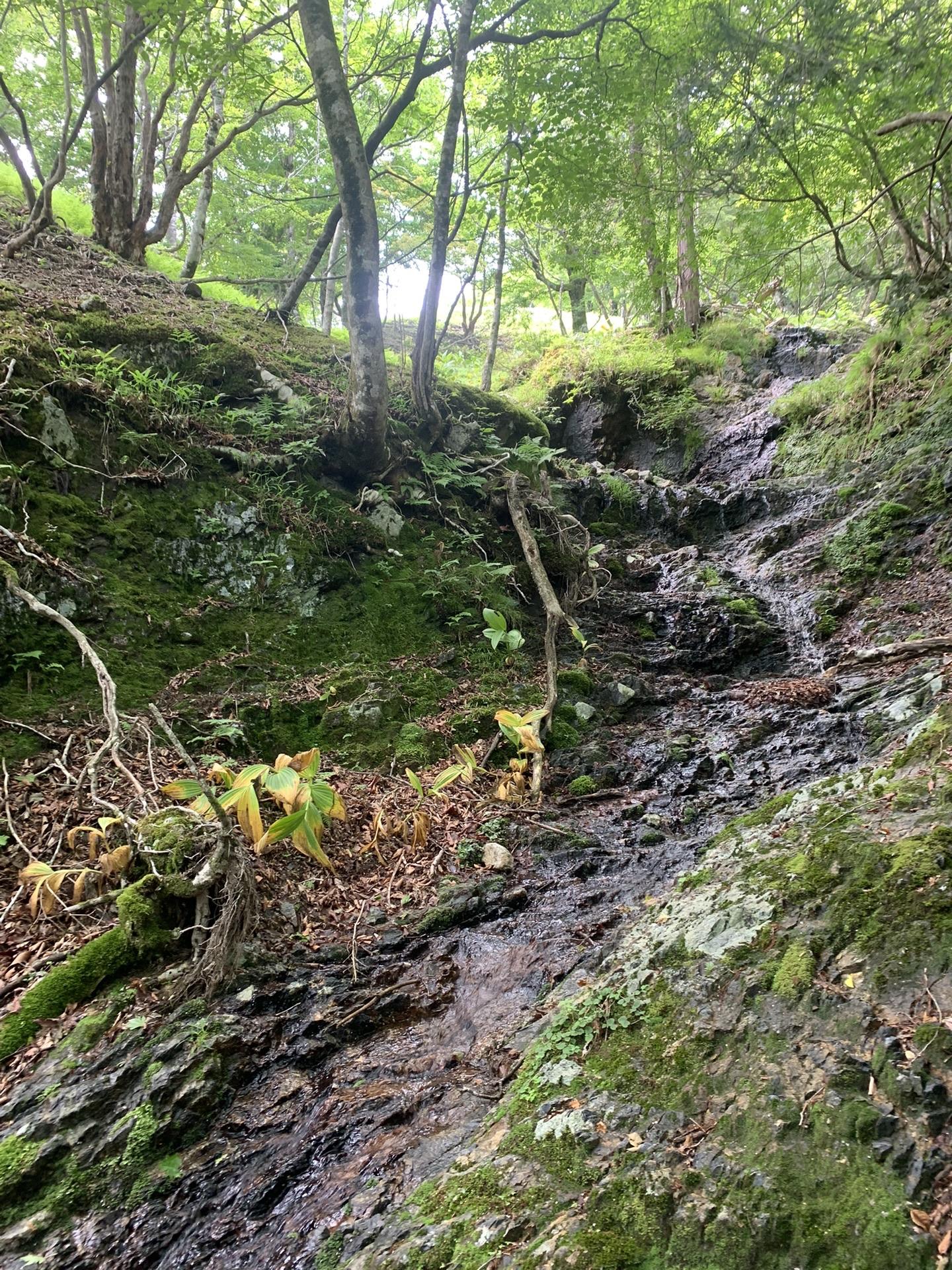 あとはつめていくと