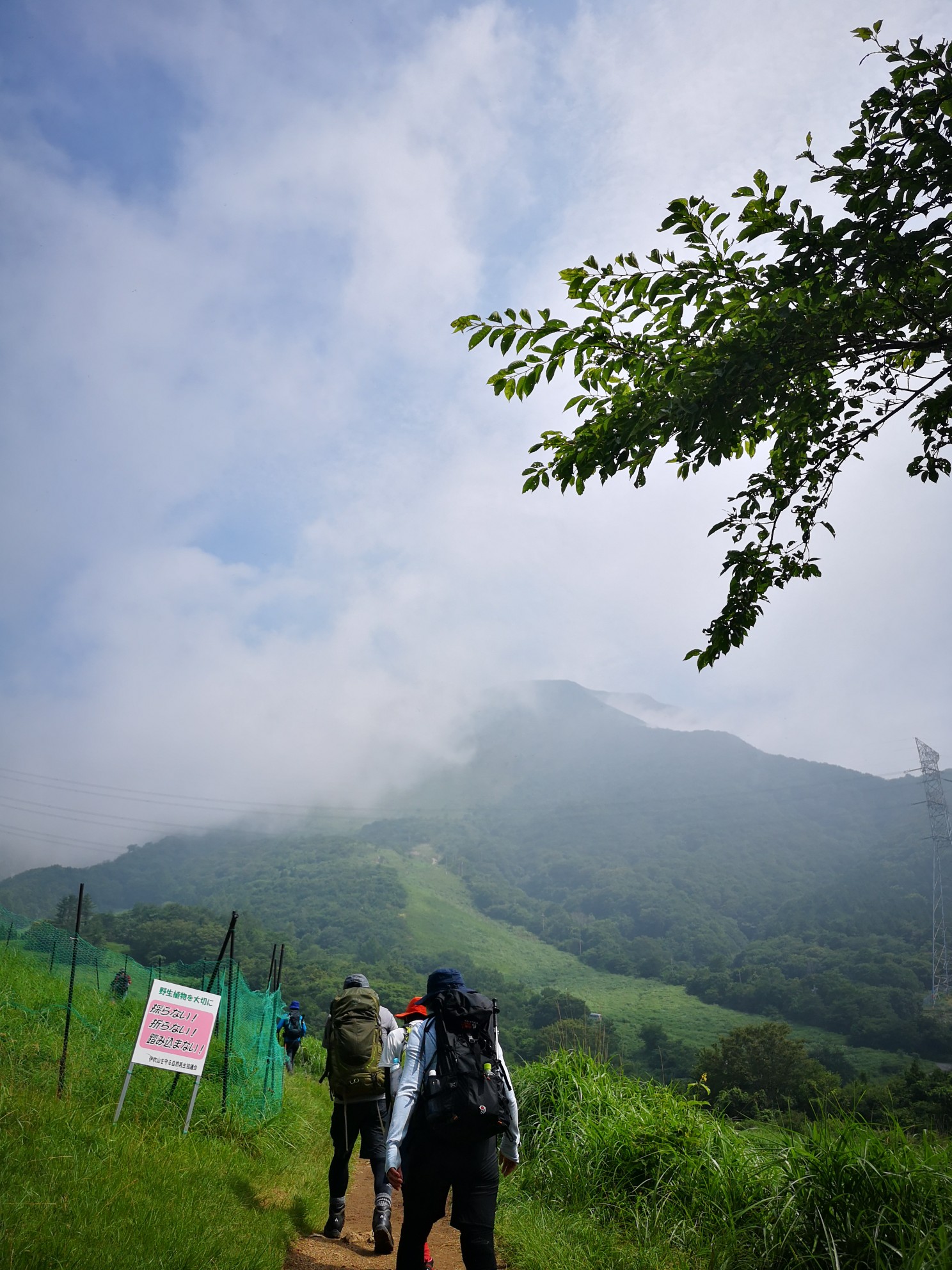 電車で伊吹山 近江長岡駅から Kojiさんの伊吹山 伊吹高原 御座峰の活動データ Yamap ヤマップ