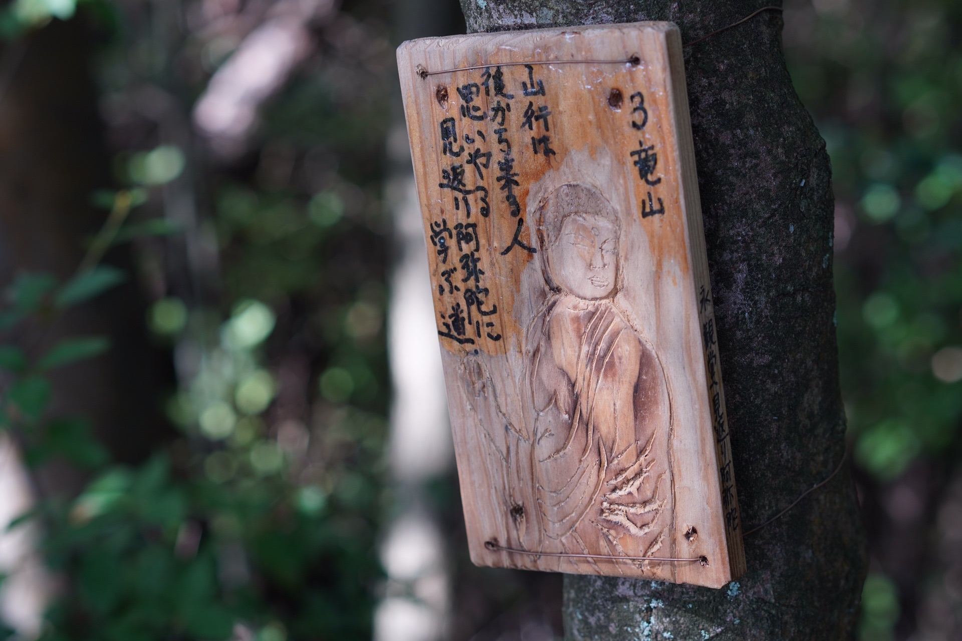 竜山 中野山 絵下山 お松さんの絵下山 天狗城山 森山の活動日記 Yamap ヤマップ