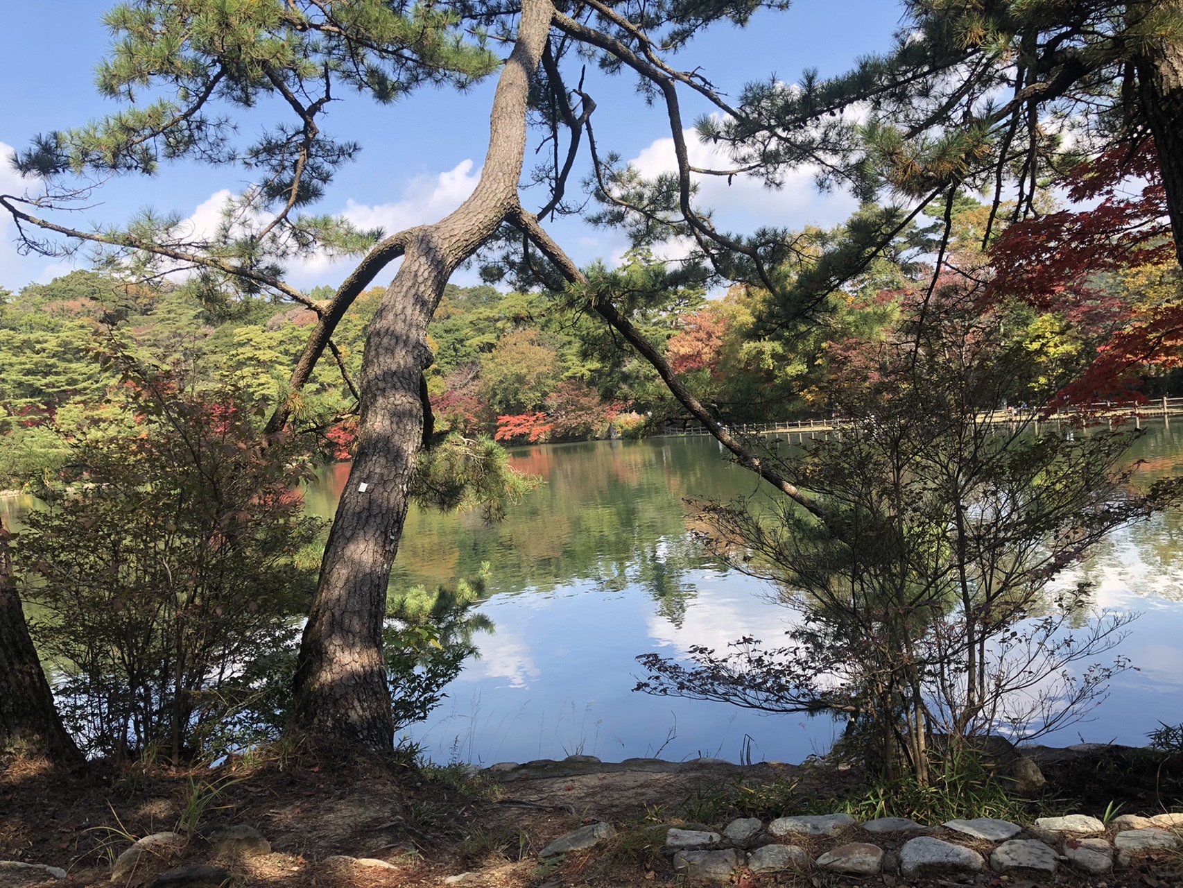 再度公園 修法ヶ原池 再度山 北野谷東尾根 Shirohさんの六甲山 長峰山 摩耶山の活動日記 Yamap ヤマップ