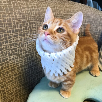 cappuccina＊カプチーナ☕️