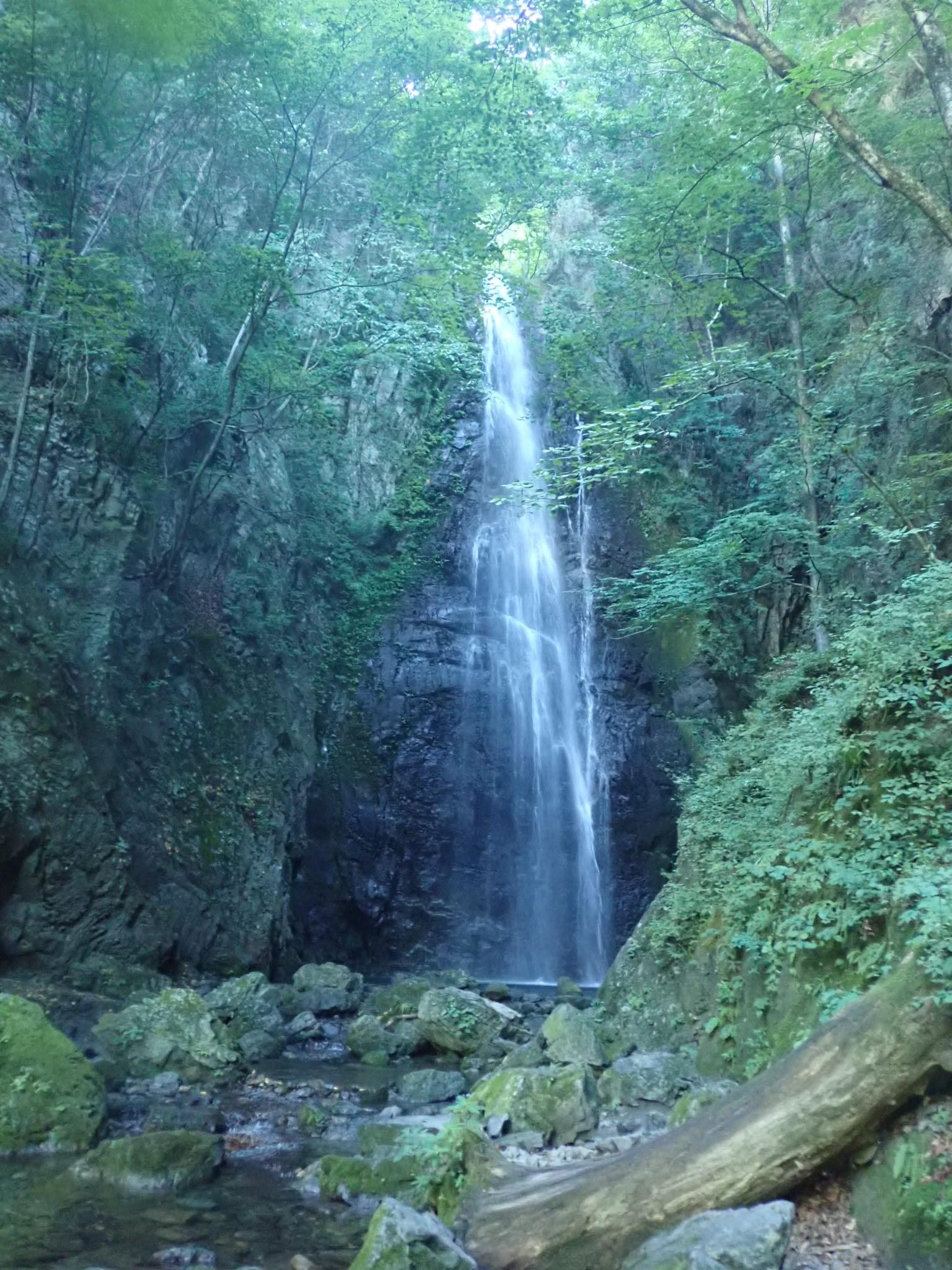 川苔山の最新登山情報 / 人気の登山ルート、写真、天気など