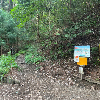 ここから登山道